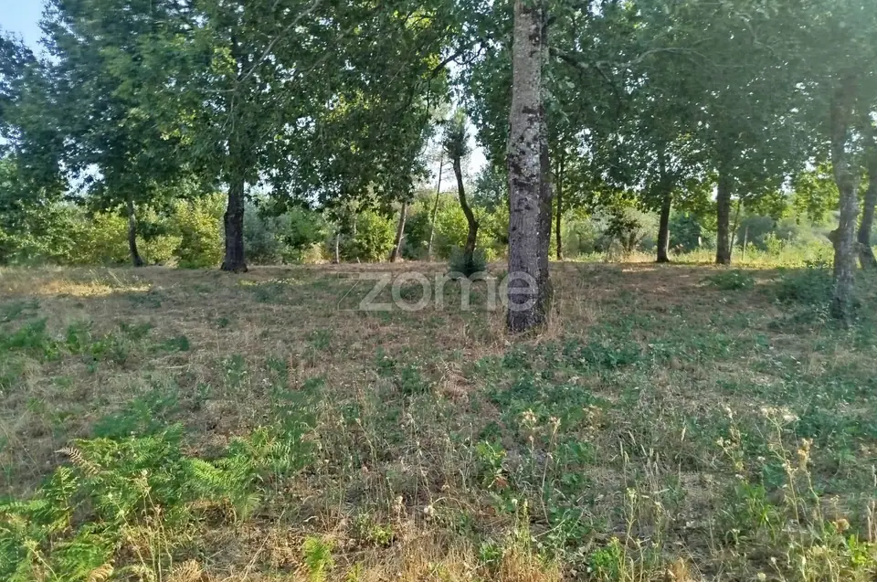 🏡 Terreno Urbanizável em Vale de Cá – Uma Oportunidade Única — imagem 28