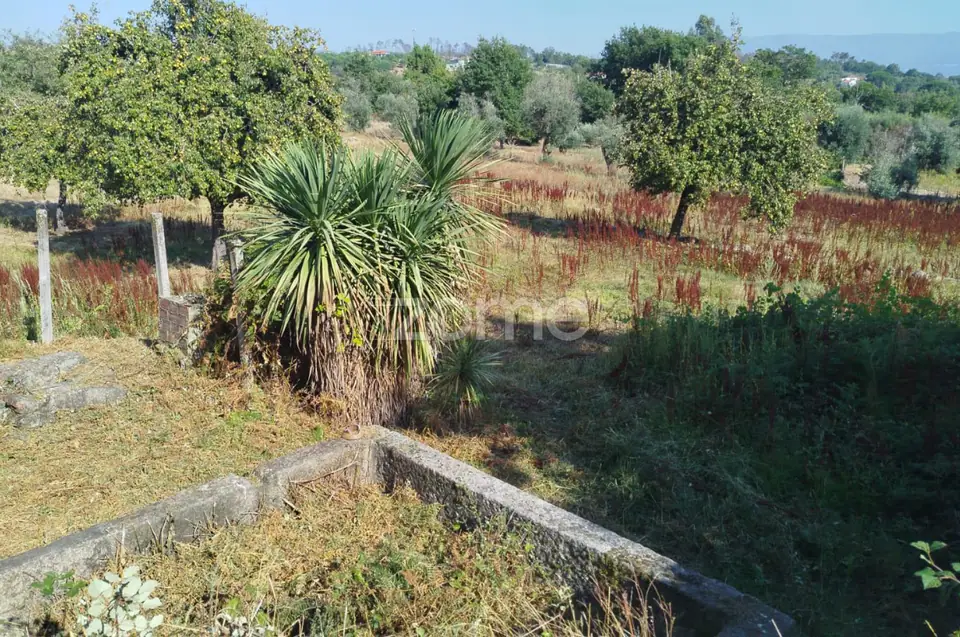 🏡 Terreno Urbanizável em Vale de Cá – Uma Oportunidade Única — imagem 8