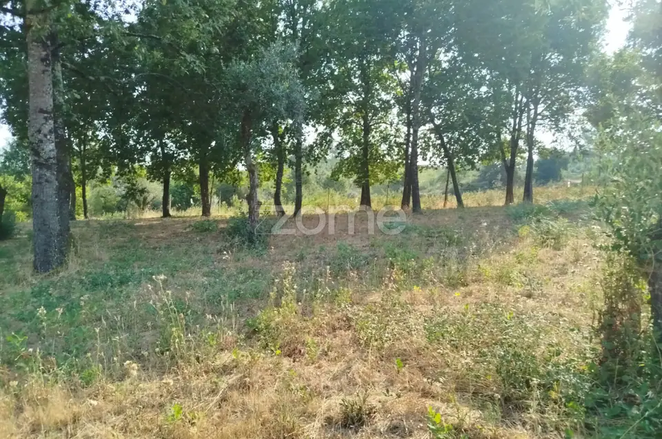 🏡 Terreno Urbanizável em Vale de Cá – Uma Oportunidade Única — imagem 29
