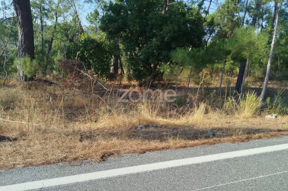 🏡 Terreno Urbanizável em Vale de Cá – Uma Oportunidade Única — imagem 21