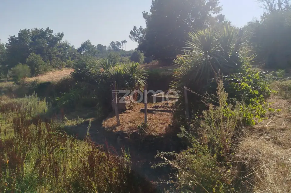 🏡 Terreno Urbanizável em Vale de Cá – Uma Oportunidade Única — imagem 1