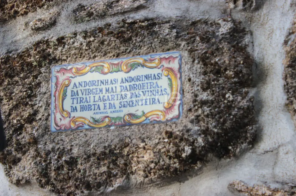 Hotel para venda em Abrunhosa a Velha, Mangualde — imagem 61