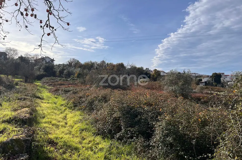 Terrenos em Rio de Loba - EXCELENTE OPORTUNIDADE — imagem 19