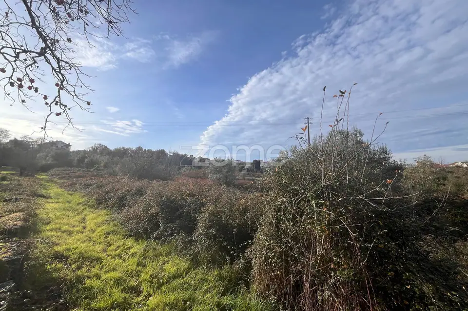 Terrenos em Rio de Loba - EXCELENTE OPORTUNIDADE — imagem 18