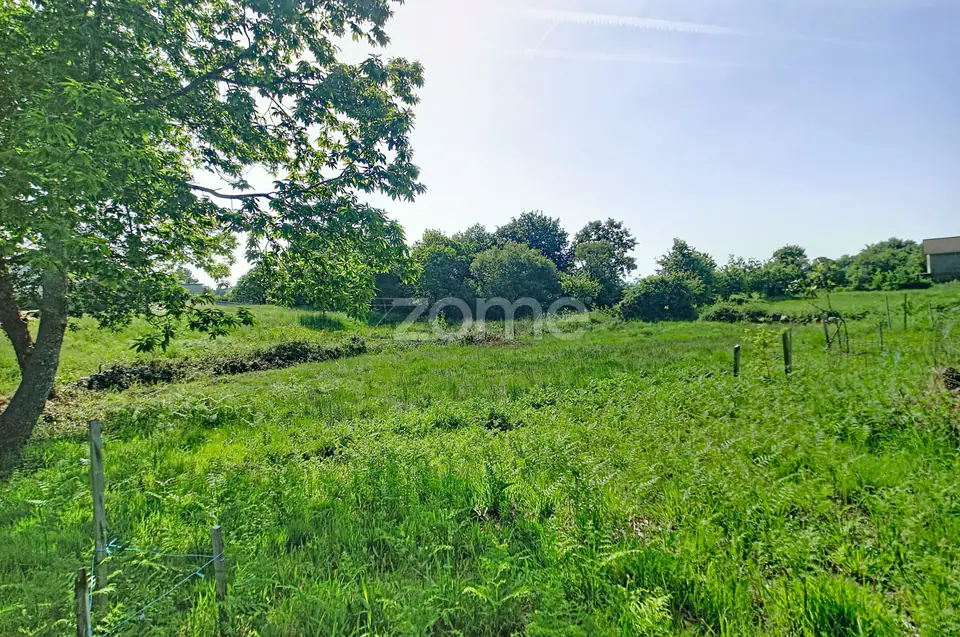 Moradia T3 em Pereira – Sátão (elegivel para crédito) + Terreno — imagem 34