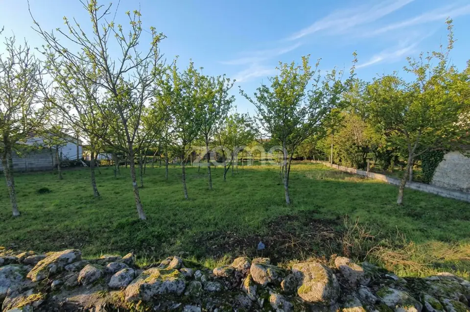 Terreno Urbanizável 1.169 m² + Estudo Prévio | Moradia T3 | Sátão — imagem 10