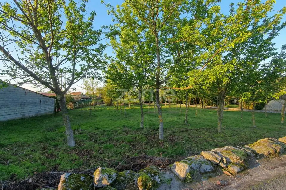 Terreno Urbanizável 1.169 m² + Estudo Prévio | Moradia T3 | Sátão — imagem 11