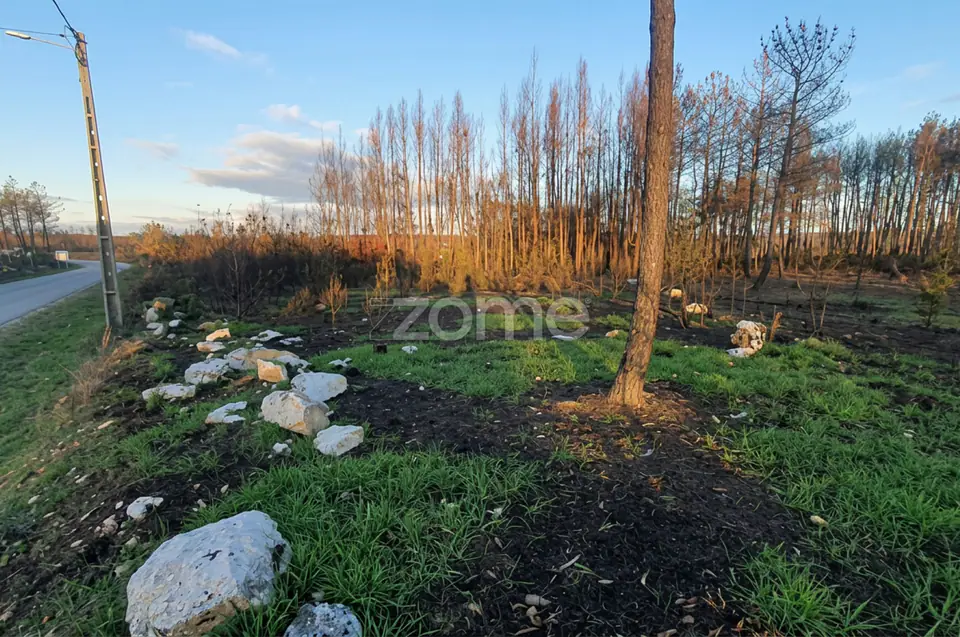 Terreno urbano + rústico com 2.472 m² – projeto ideal para moradia — imagem 4