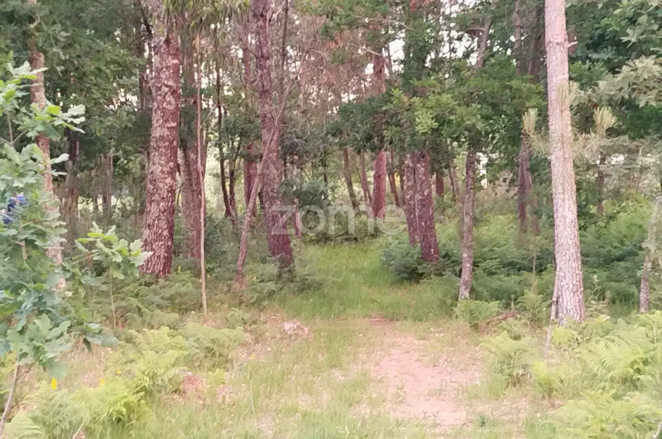Terreno para construir o seu Sonho — imagem 7