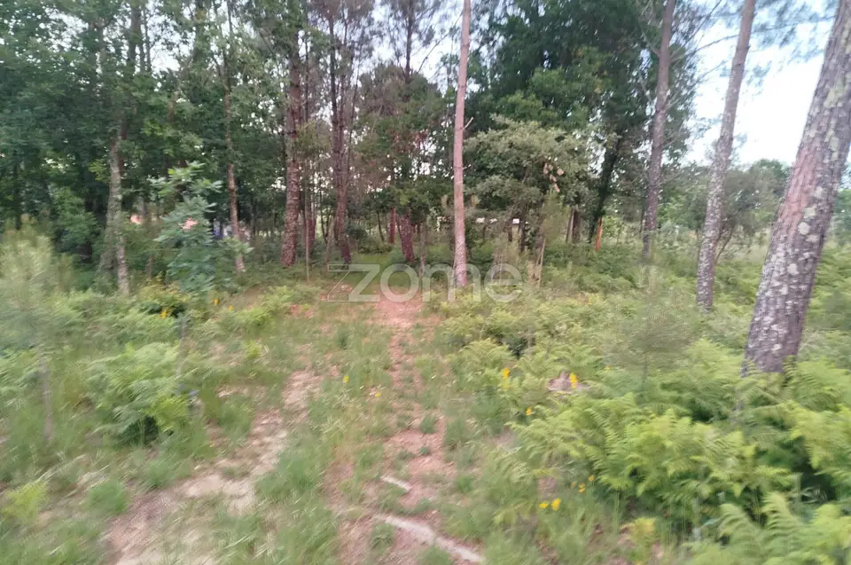 Terreno para construir o seu Sonho — imagem 5