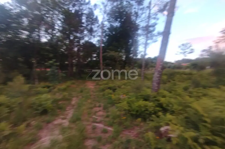 Terreno para construir o seu Sonho — imagem 12