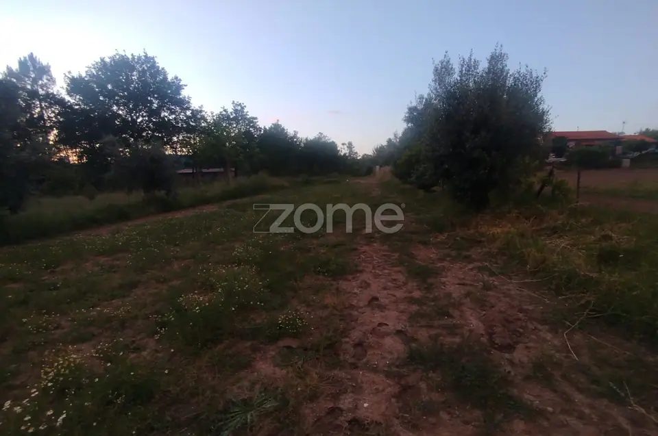 Terreno a 5 minutos do centro de Mangualde o seu Sonho — imagem 17