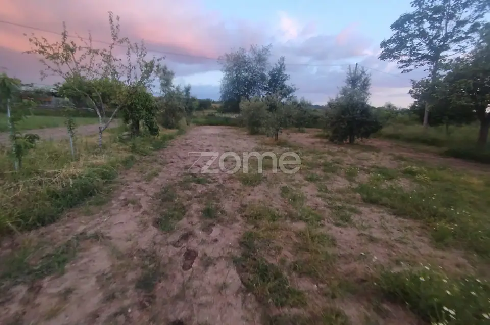 Terreno a 5 minutos do centro de Mangualde o seu Sonho — imagem 16