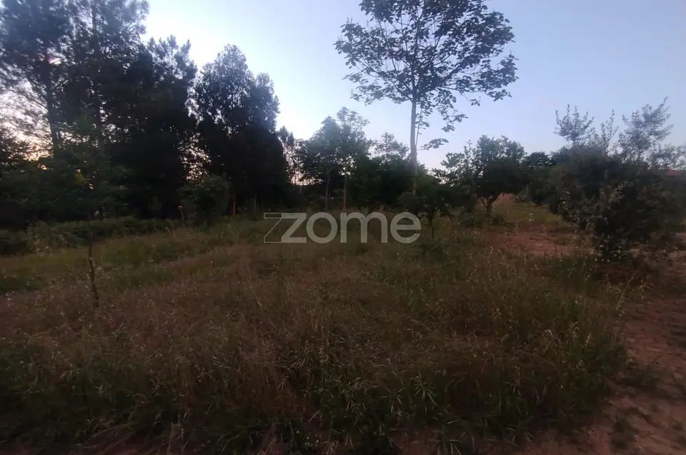 Terreno a 5 minutos do centro de Mangualde o seu Sonho — imagem 11