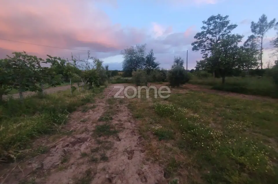 Terreno a 5 minutos do centro de Mangualde o seu Sonho — imagem 18