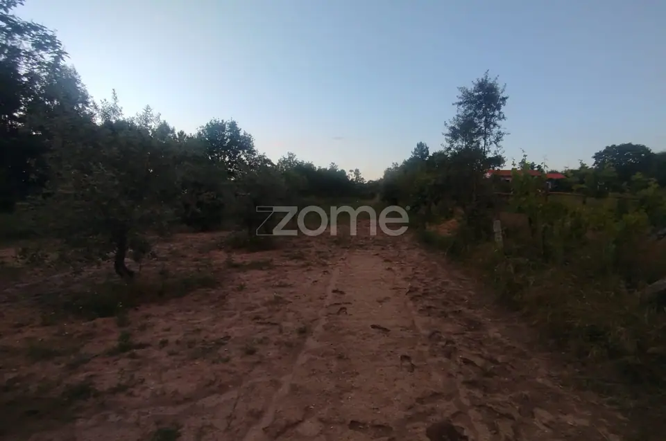 Terreno a 5 minutos do centro de Mangualde o seu Sonho — imagem 10