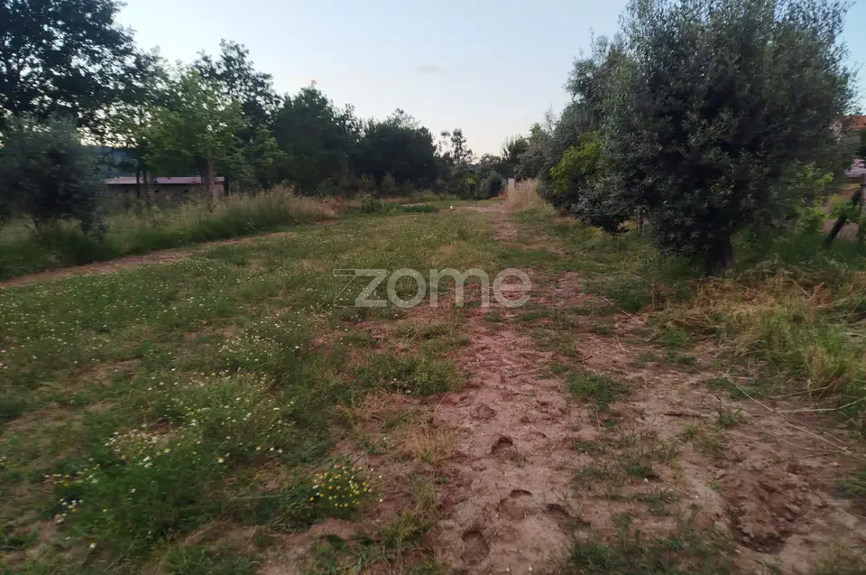 Terreno a 5 minutos do centro de Mangualde o seu Sonho — imagem 1