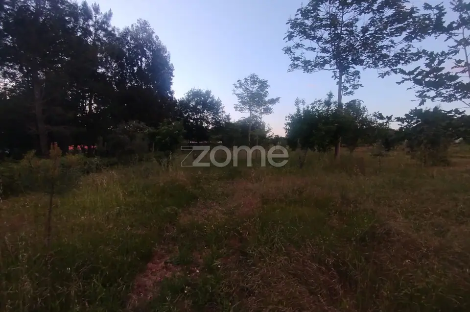 Terreno a 5 minutos do centro de Mangualde o seu Sonho — imagem 17