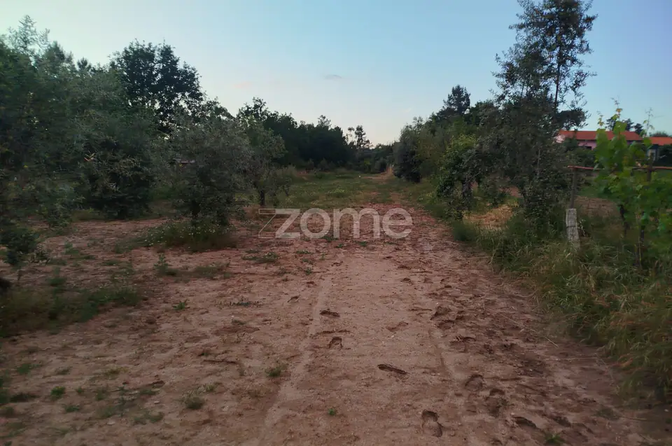 Terreno a 5 minutos do centro de Mangualde o seu Sonho — imagem 15