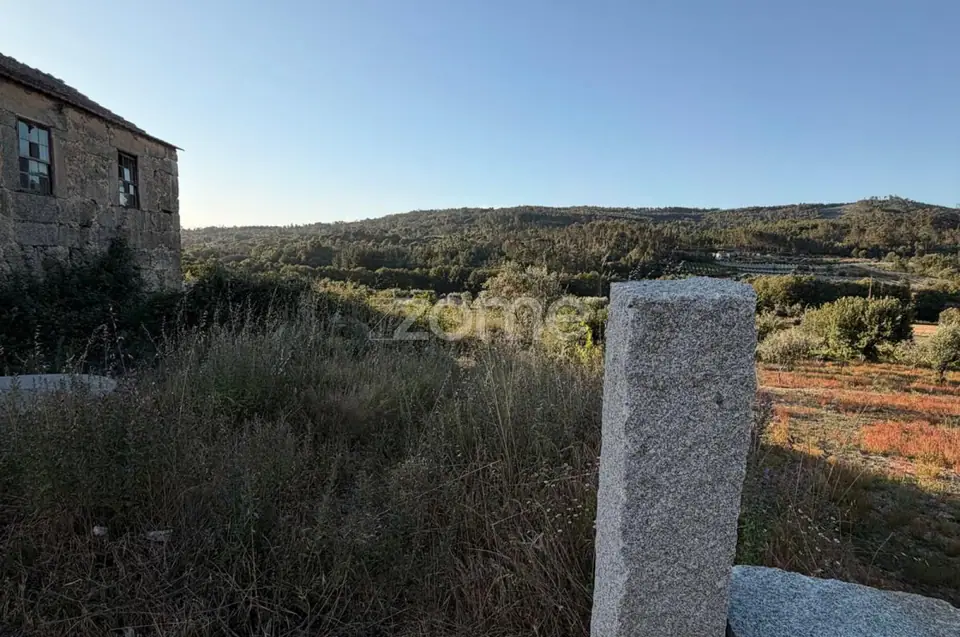 Quinta em Pedra para Recuperar com 3.190 m² na Beira Alta – Um refúgio — imagem 5