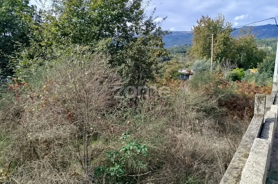 Dois lotes para construção com vários arvores de fruto, castalheiros — imagem 34