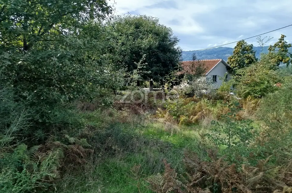 Dois lotes para construção com vários arvores de fruto, castalheiros — imagem 33
