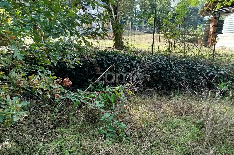 Dois lotes para construção com vários arvores de fruto, castalheiros — imagem 23