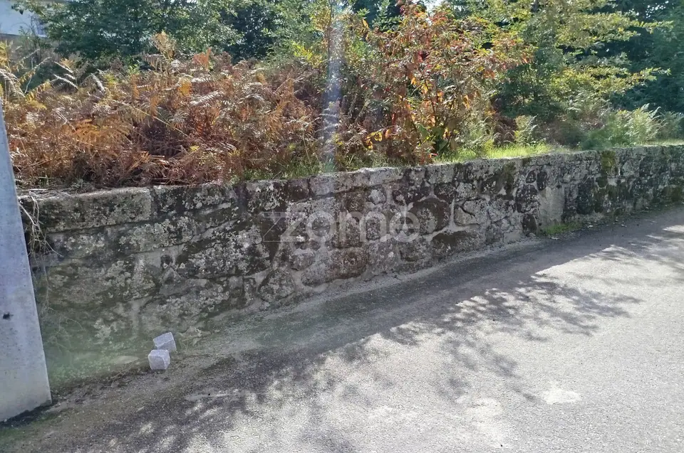 Dois lotes para construção com vários arvores de fruto, castalheiros — imagem 29