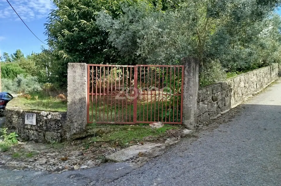 Dois lotes para construção com vários arvores de fruto, castalheiros — imagem 49