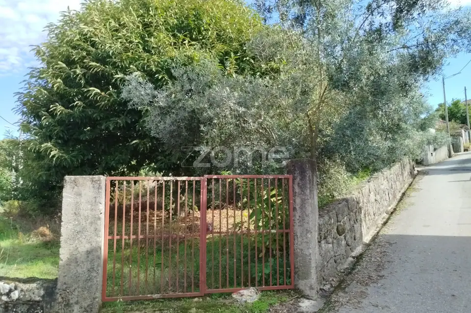 Dois lotes para construção com vários arvores de fruto, castalheiros — imagem 47