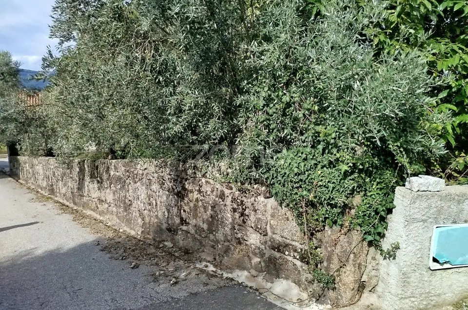 Dois lotes para construção com vários arvores de fruto, castalheiros — imagem 44
