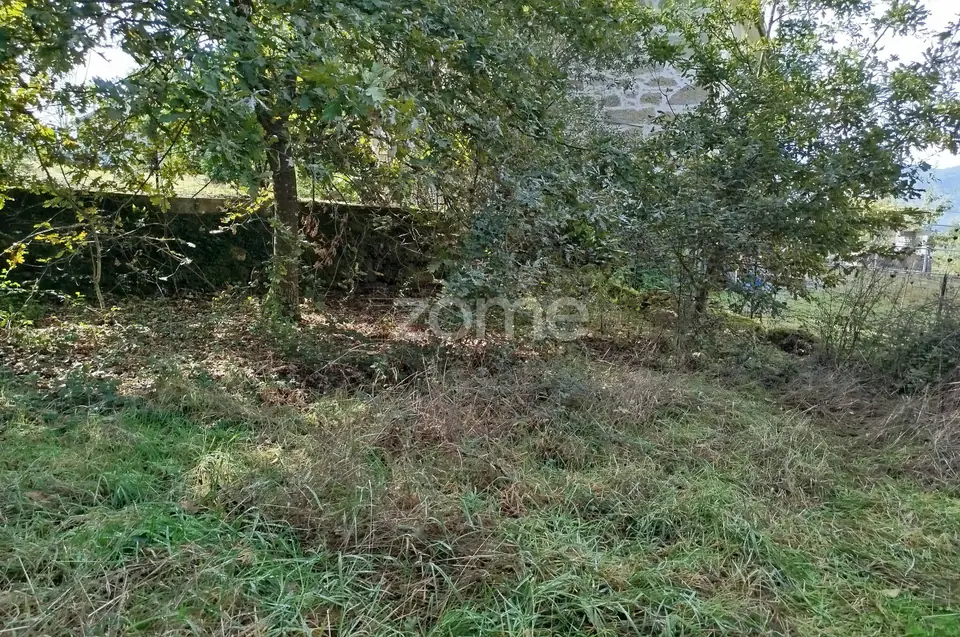 Dois lotes para construção com vários arvores de fruto, castalheiros — imagem 6