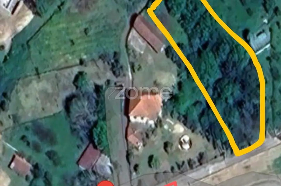 Dois lotes para construção com vários arvores de fruto, castalheiros — imagem 54
