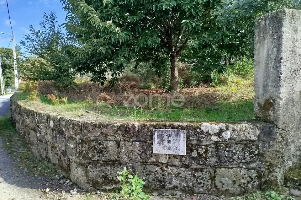 Dois lotes para construção com vários arvores de fruto, castalheiros — imagem 50
