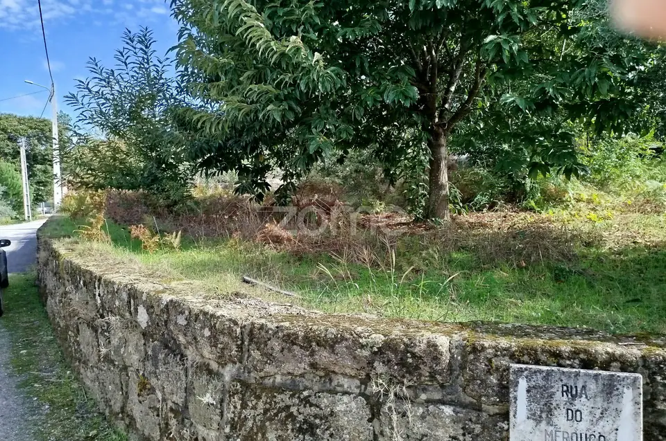 Dois lotes para construção com vários arvores de fruto, castalheiros — imagem 51