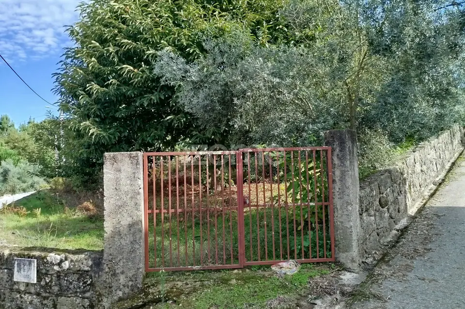 Dois lotes para construção com vários arvores de fruto, castalheiros — imagem 48