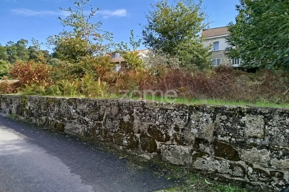 Dois lotes para construção com vários arvores de fruto, castalheiros — imagem 53