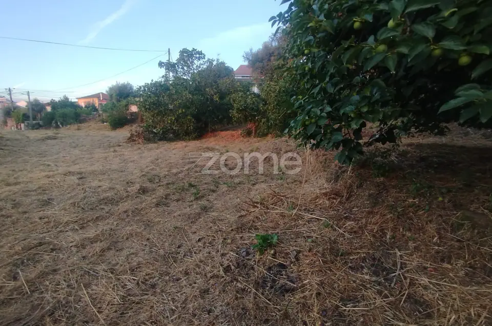 Terreno Urbano para Promoção Imobiliária – PIP Favorável — imagem 30
