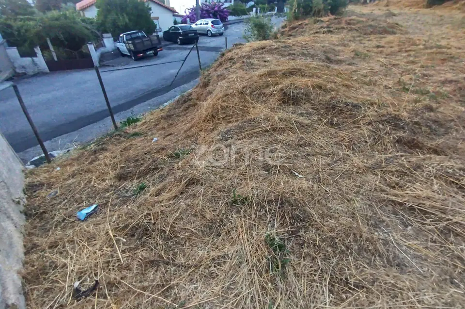 Terreno Urbano para Promoção Imobiliária – PIP Favorável — imagem 33