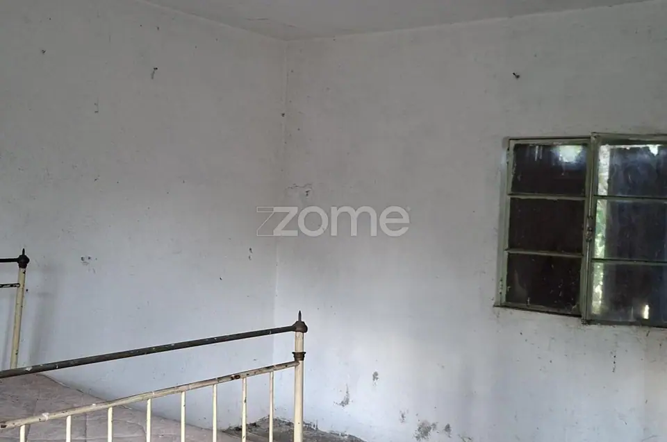 QUINTA COM CASA - Travanca de Lagos -Oliveira do Hospital — imagem 4