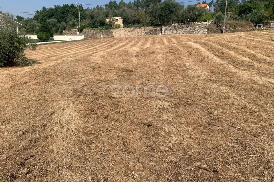 Terreno Urbano — imagem 12