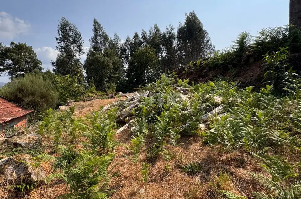 Terreno Urbanizável em Reigoso — imagem 4