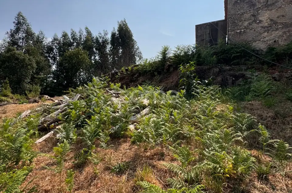 Terreno Urbanizável em Reigoso — imagem 13