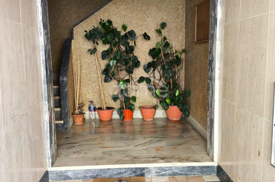 Apartamento T3 próximo centro Mangualde — imagem 3