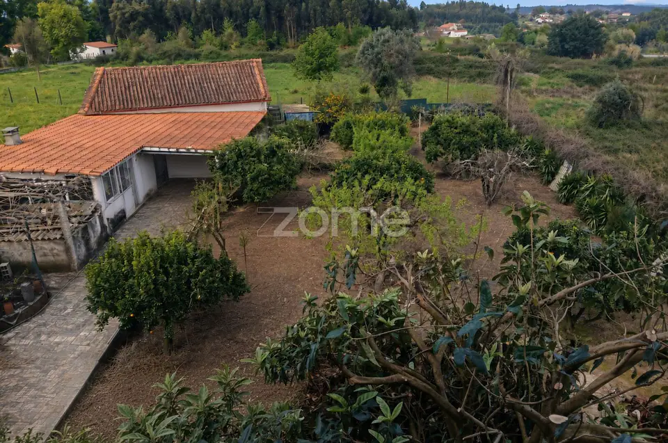 Moradia T3+3 com piscina e 1.490 m² a 6 km de Tondela — imagem 25