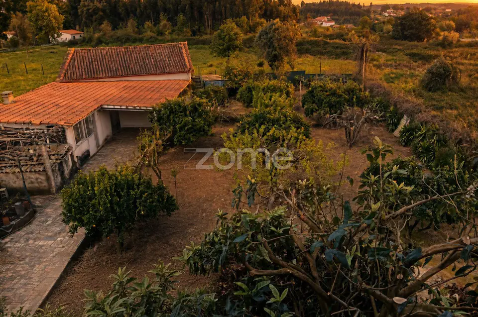Moradia T3+3 com piscina e 1.490 m² a 6 km de Tondela — imagem 32