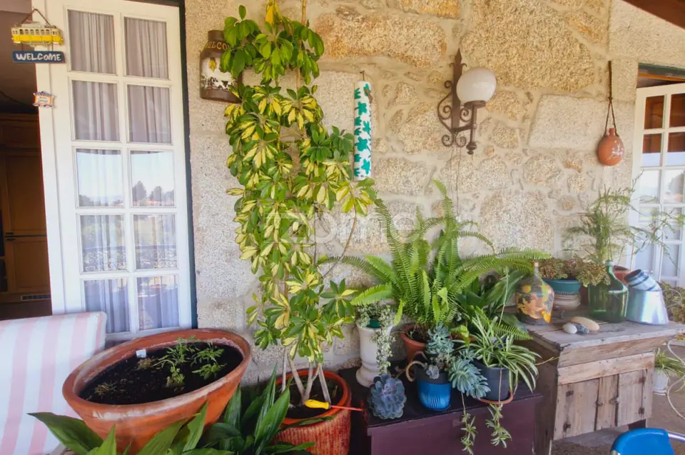 Magnífico Solar / SPA / Pub - T11 em Viseu. — imagem 29