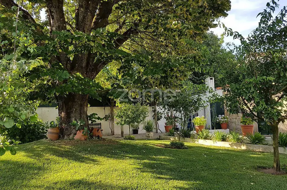 Magnífico Solar / SPA / Pub - T11 em Viseu. — imagem 54