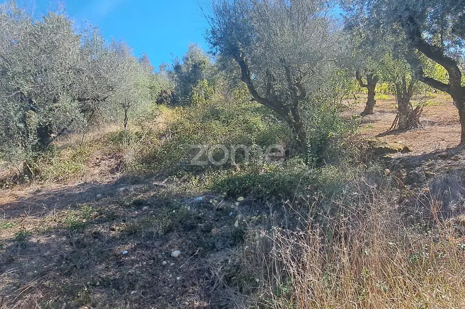 Terreno Rústico com 4.750 m² | EN110 | Almalaguês | Agrícola — imagem 9