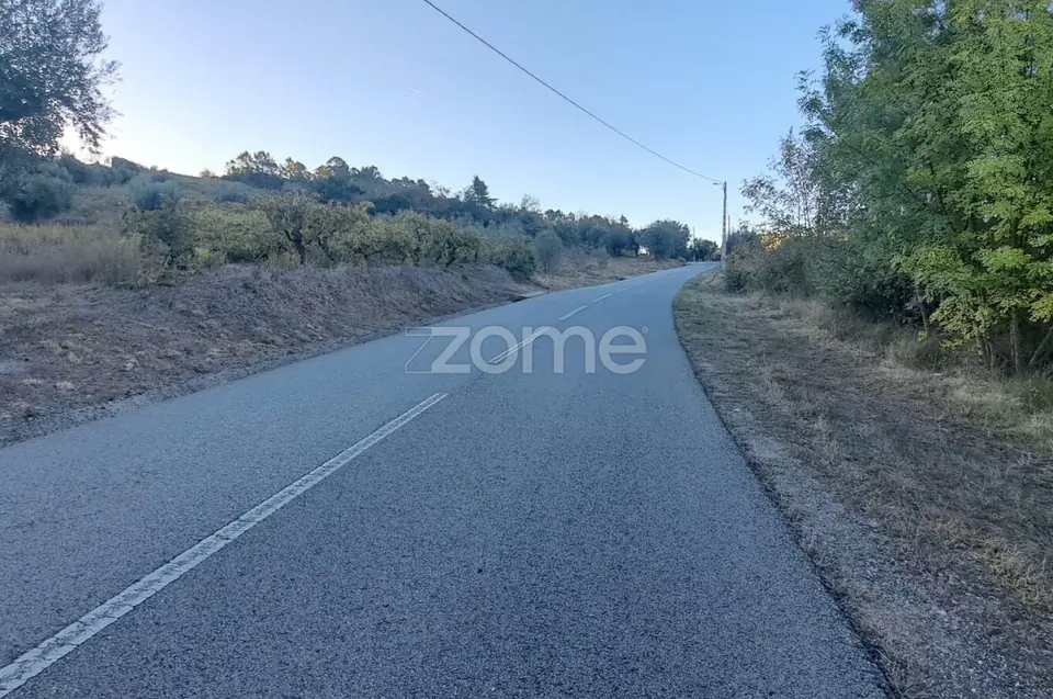 Terreno Rústico com 4.750 m² | EN110 | Almalaguês | Agrícola — imagem 8